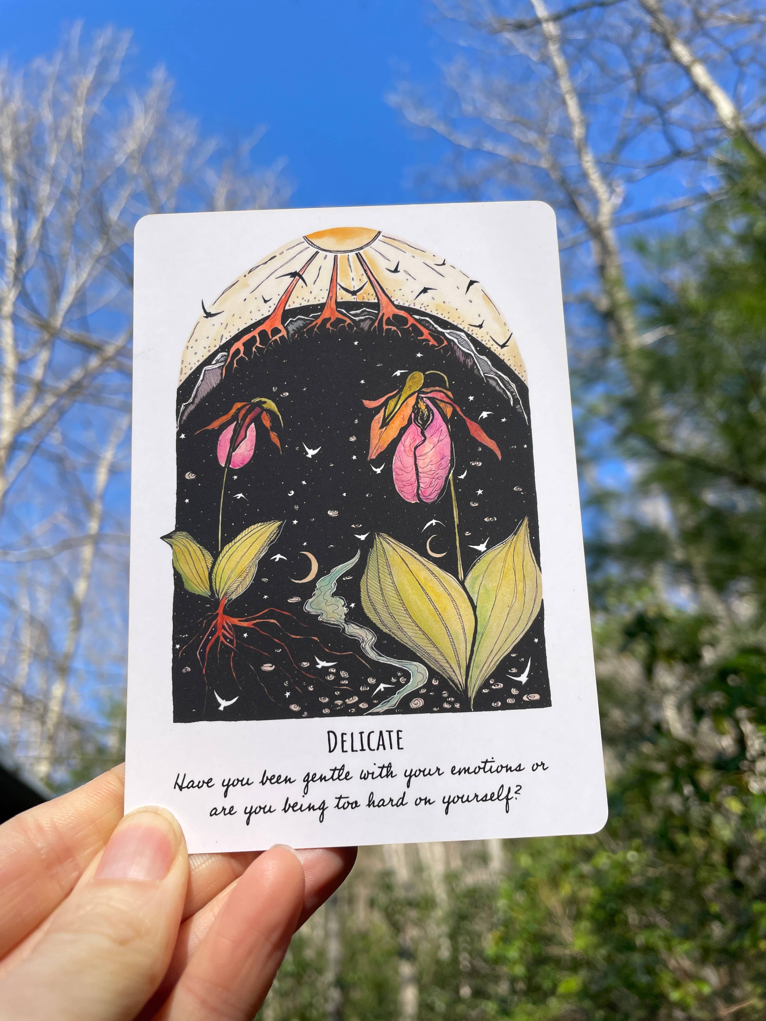 Kat Ryalls - Wholesale Tarot Cards - Phases and Forests Oracle Deck3