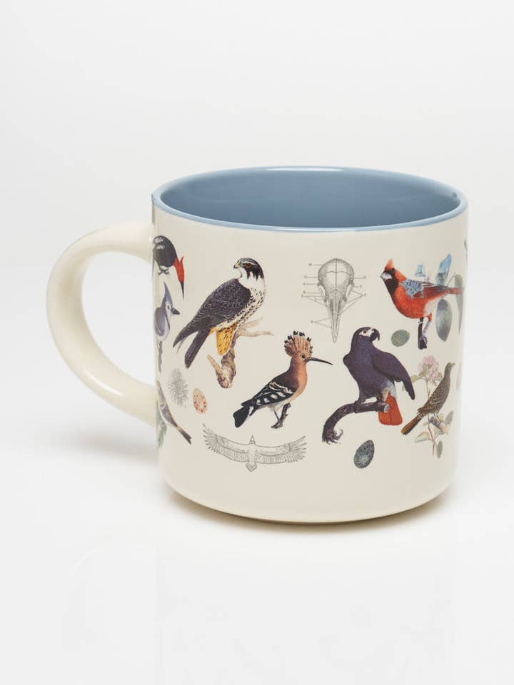 Tazza in ceramica per birdwatching da 430 mL (confezione da 4) per la vendita all'ingrosso da parte di Cognitive Surplus EU