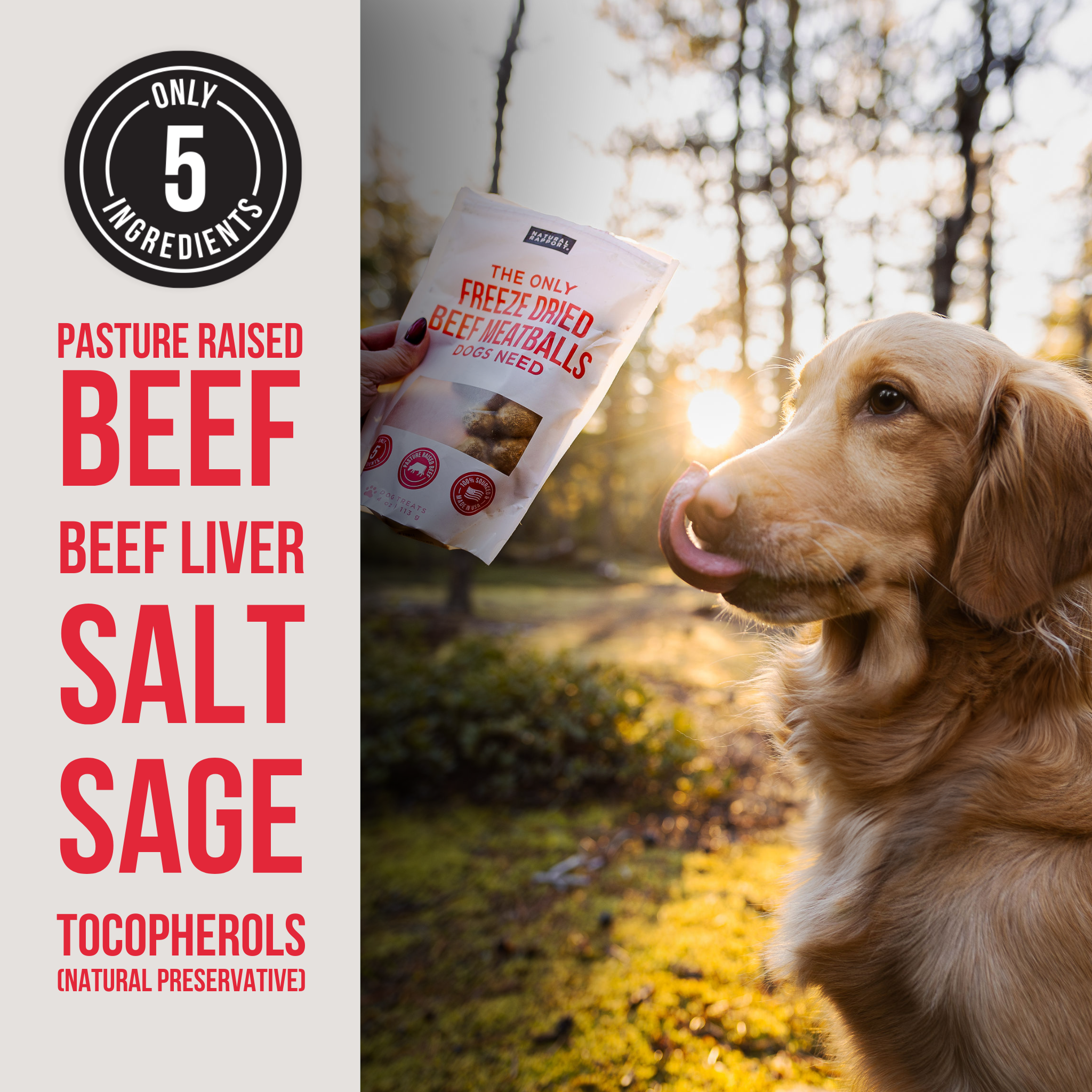 Natural Rapport - Vente Friandises – chien - Boulette de bœuf lyophilisée essentielle pour chiens2