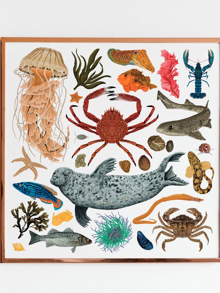 Marine Wildlife White Print for wholesale by Ferne Creative
