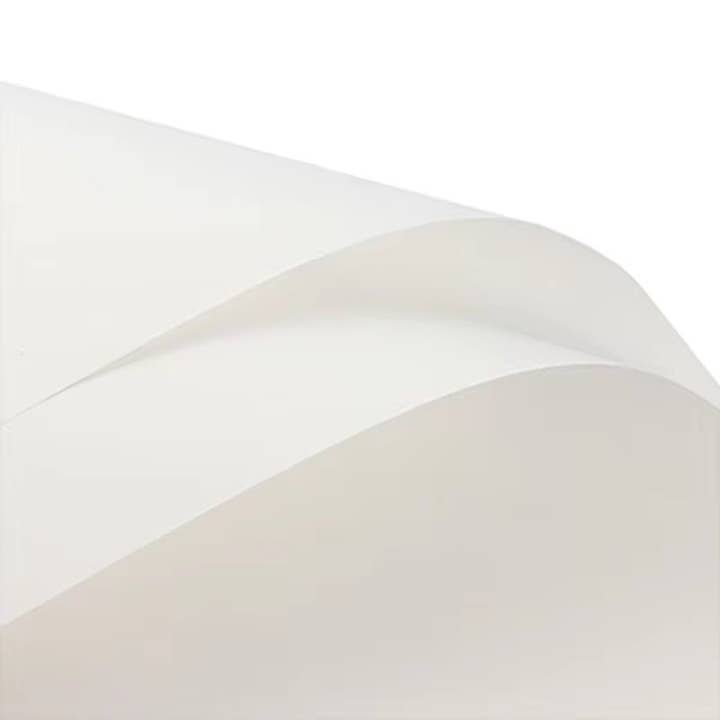 Elegant Design Supply - Wholesale Wrapping Paper Roll - Solid Color Korean Inspired Flower Wrapping Paper (20pcs/bag)12