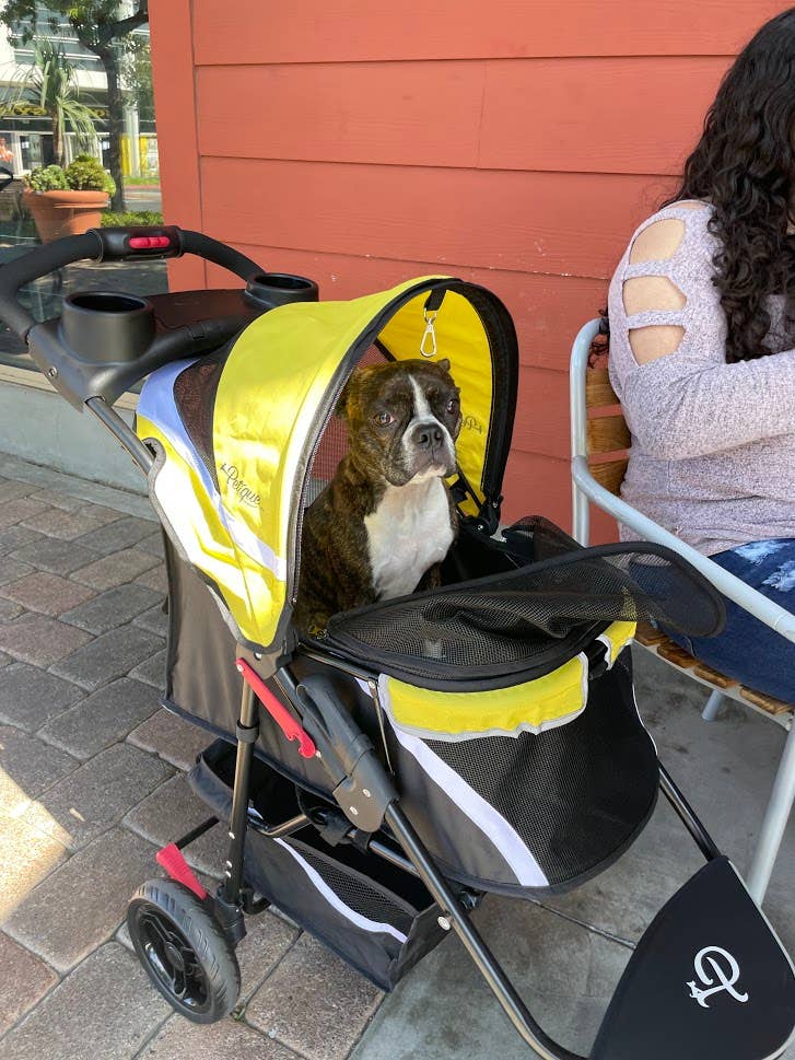 Petique - Wholesale Pet Carrier - Cat/Dog - Revolutionary Pet Stroller48