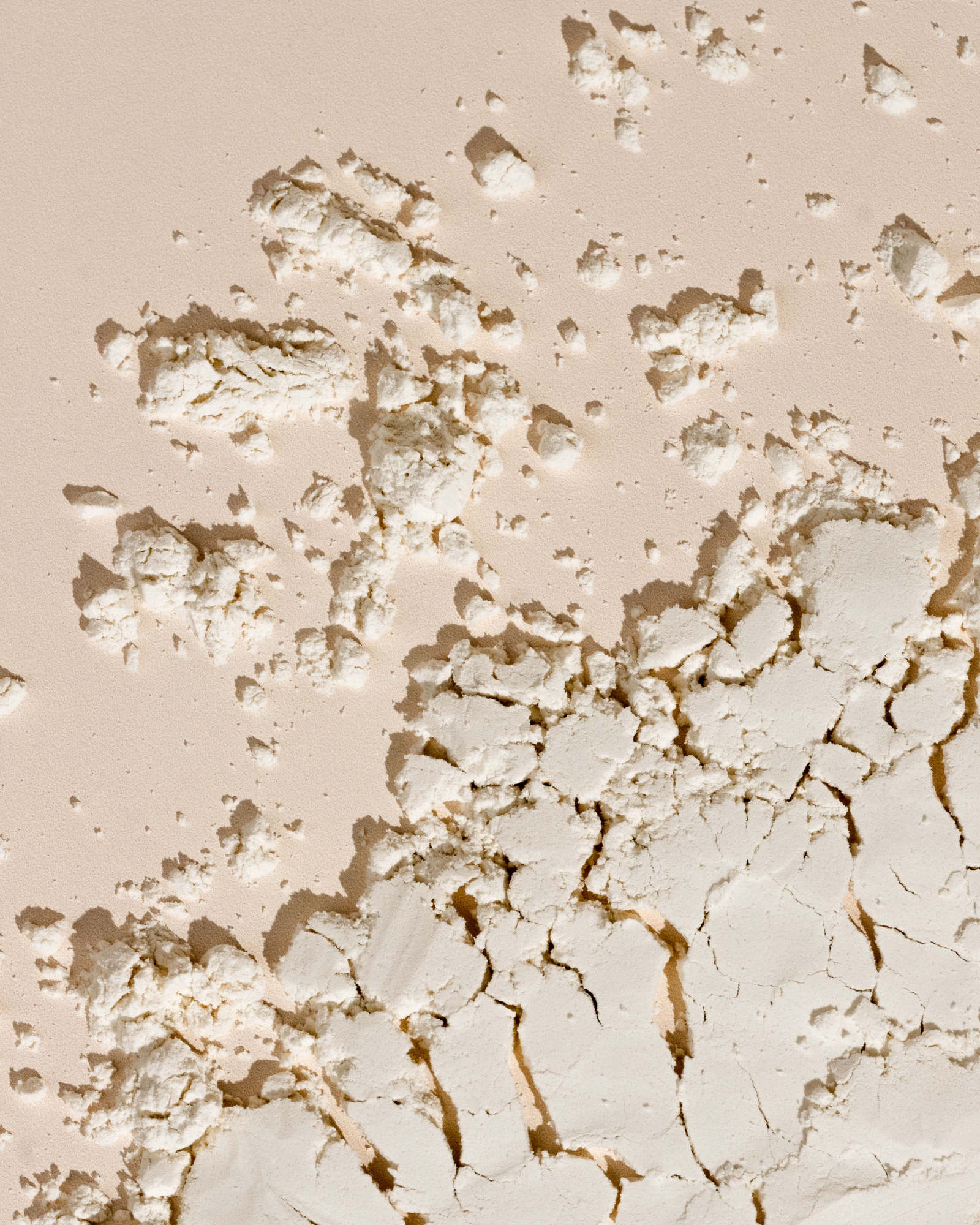 INCA Organics – wholesale Protein/superfood powder – Skin Body Gut Natural Plant Protein Powder - Vanilla 450g2