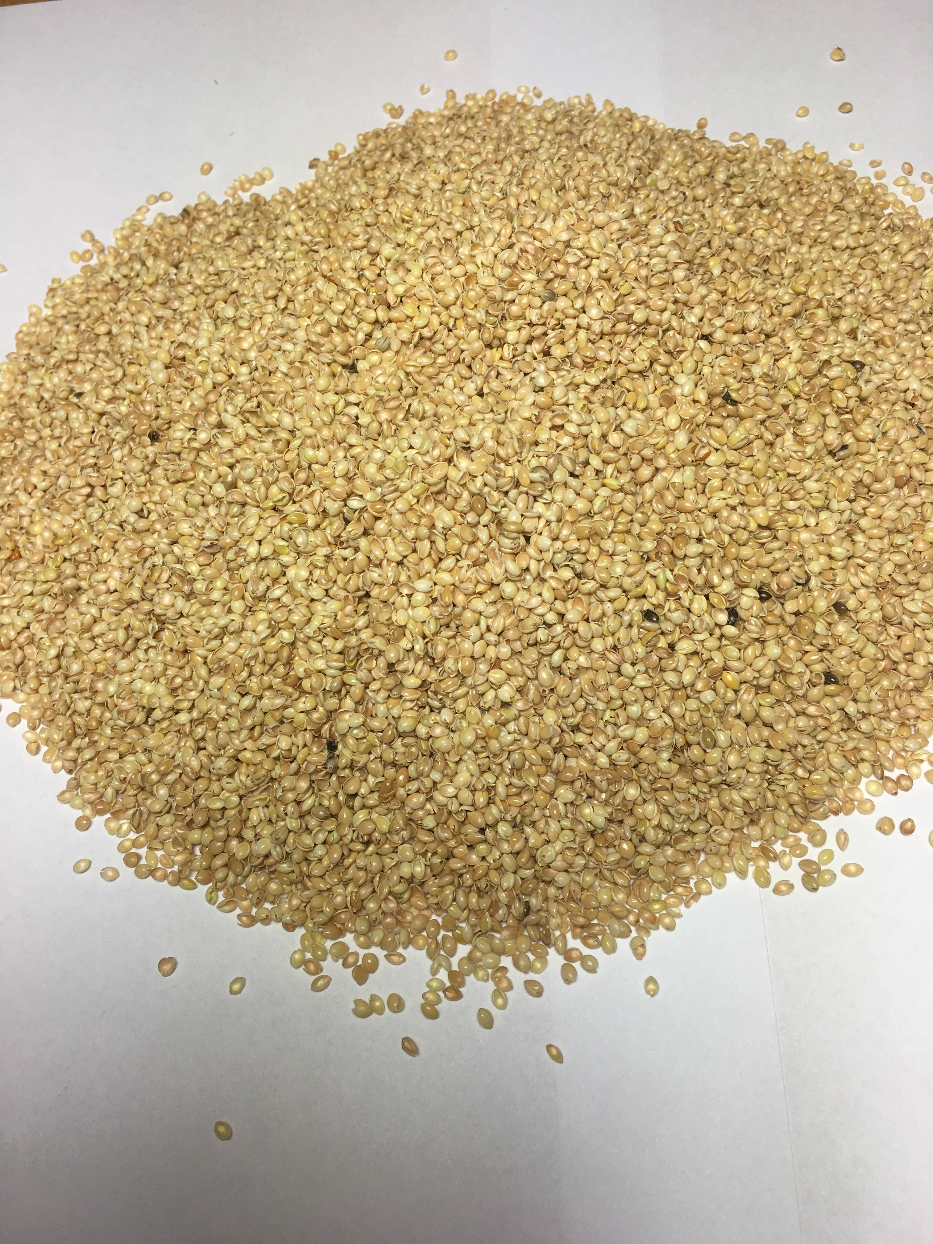 Pat & Patty - Vente Inserts d'oreiller - Coques de millet biologiques, 20 kg1