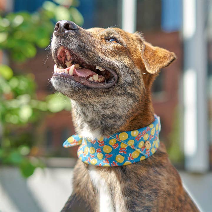 the furryfolks - Wholesale Pet Bandana - Dog - Japanese Cotton-Linen Dog Bandana, South Korea Made