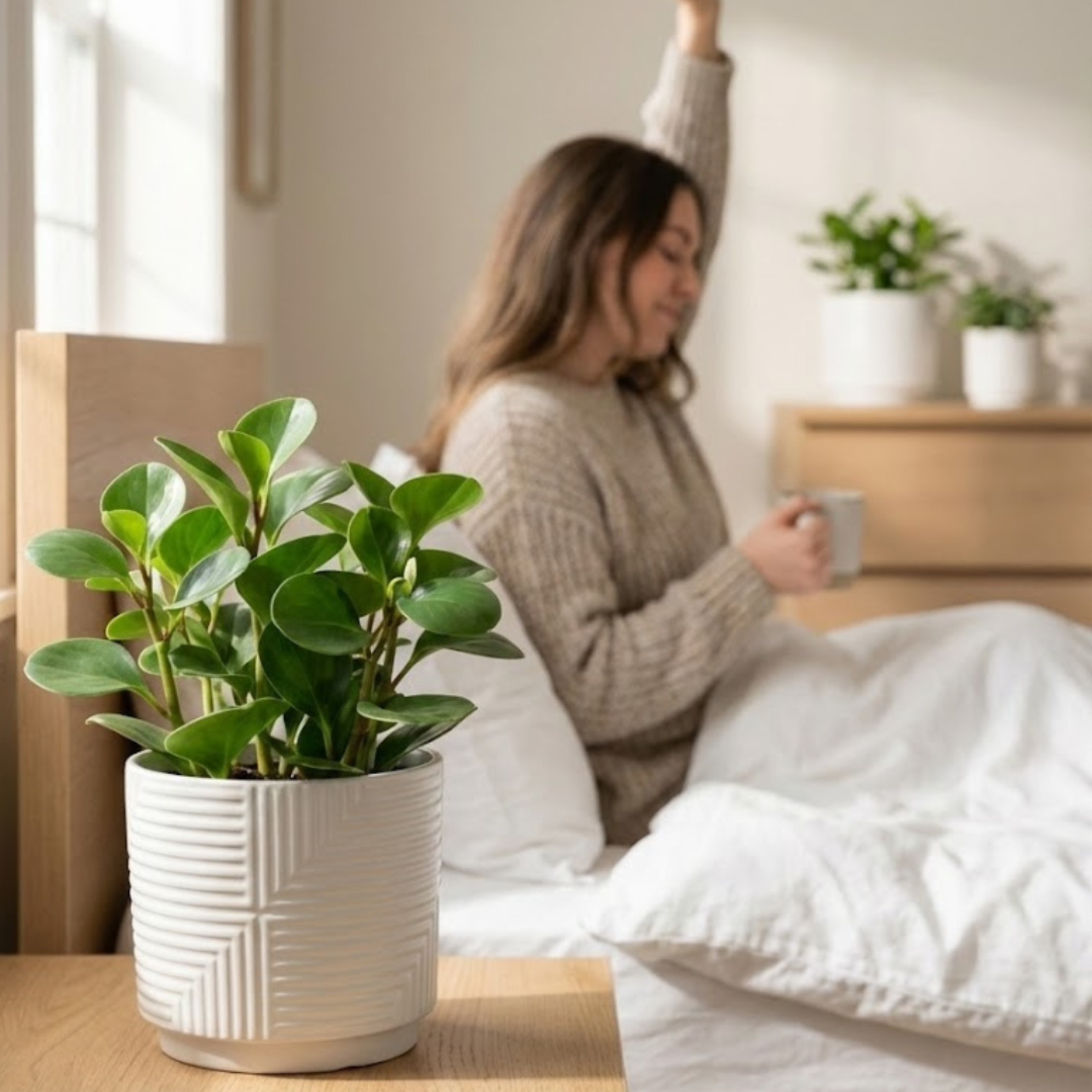 Florinia - Wholesale Plant Pot - 3-Piece White Stoneware Planter Set with Geometric Line Design1