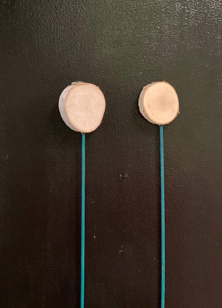 Northwoods Natural Accents - Wholesale Garden/Lawn Stake - Birch Mini Lollipop W/Pick0