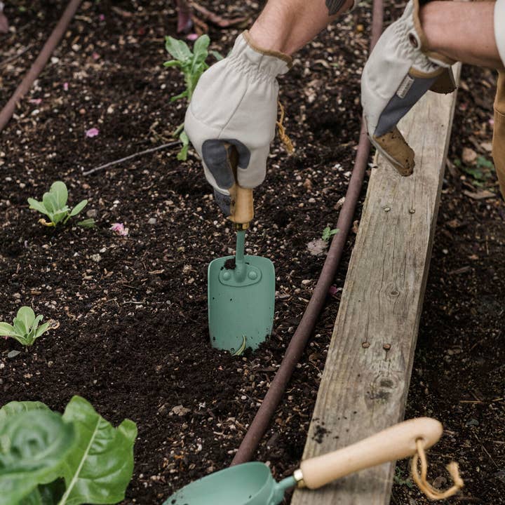 Barebones - Wholesale Garden Tool - Garden Trowel7