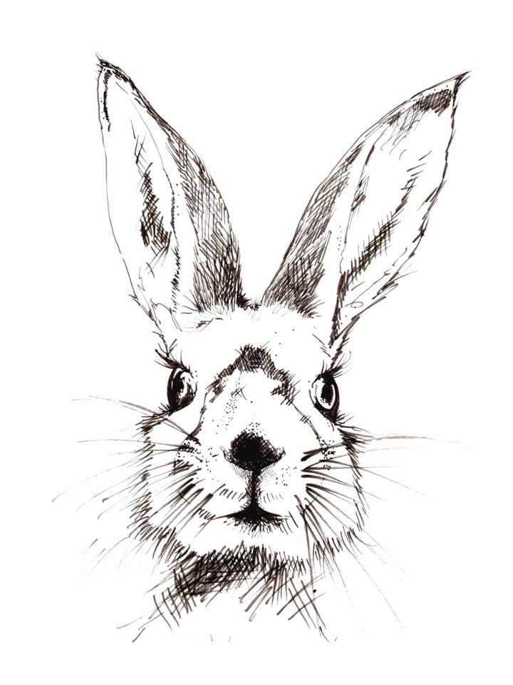 Black and White Bunny Art Print for wholesale by Kellie Cooke Art