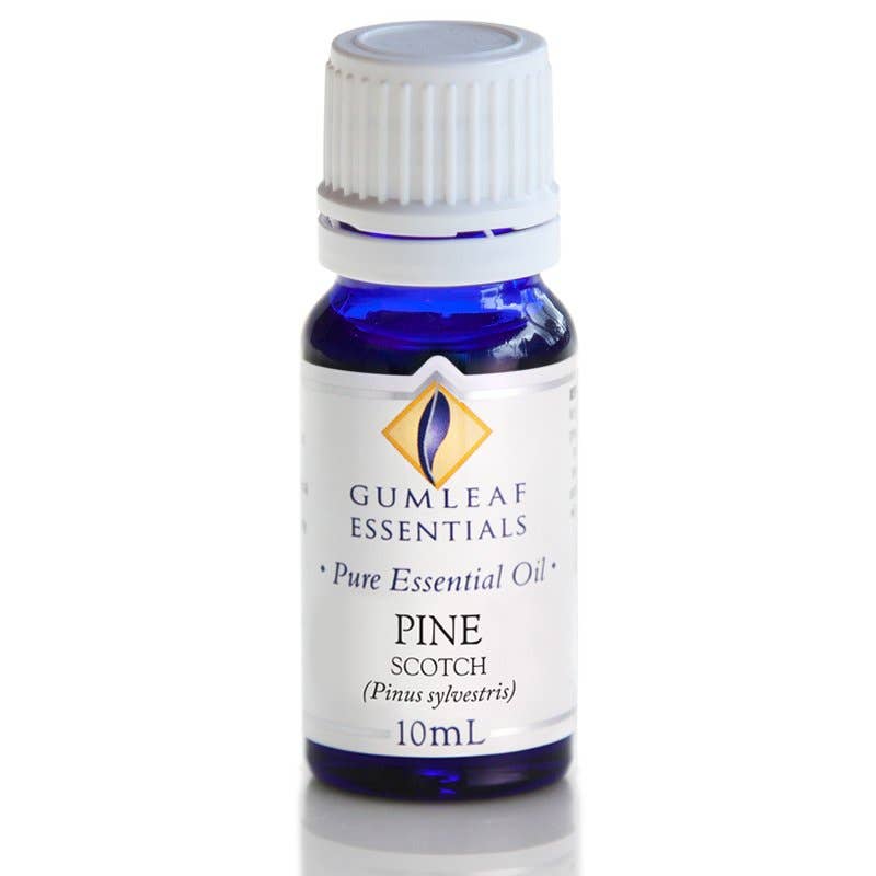 Buckley & Phillips Aromatics - Wholesale Essential oil - Pine Scotch Essential Oil1