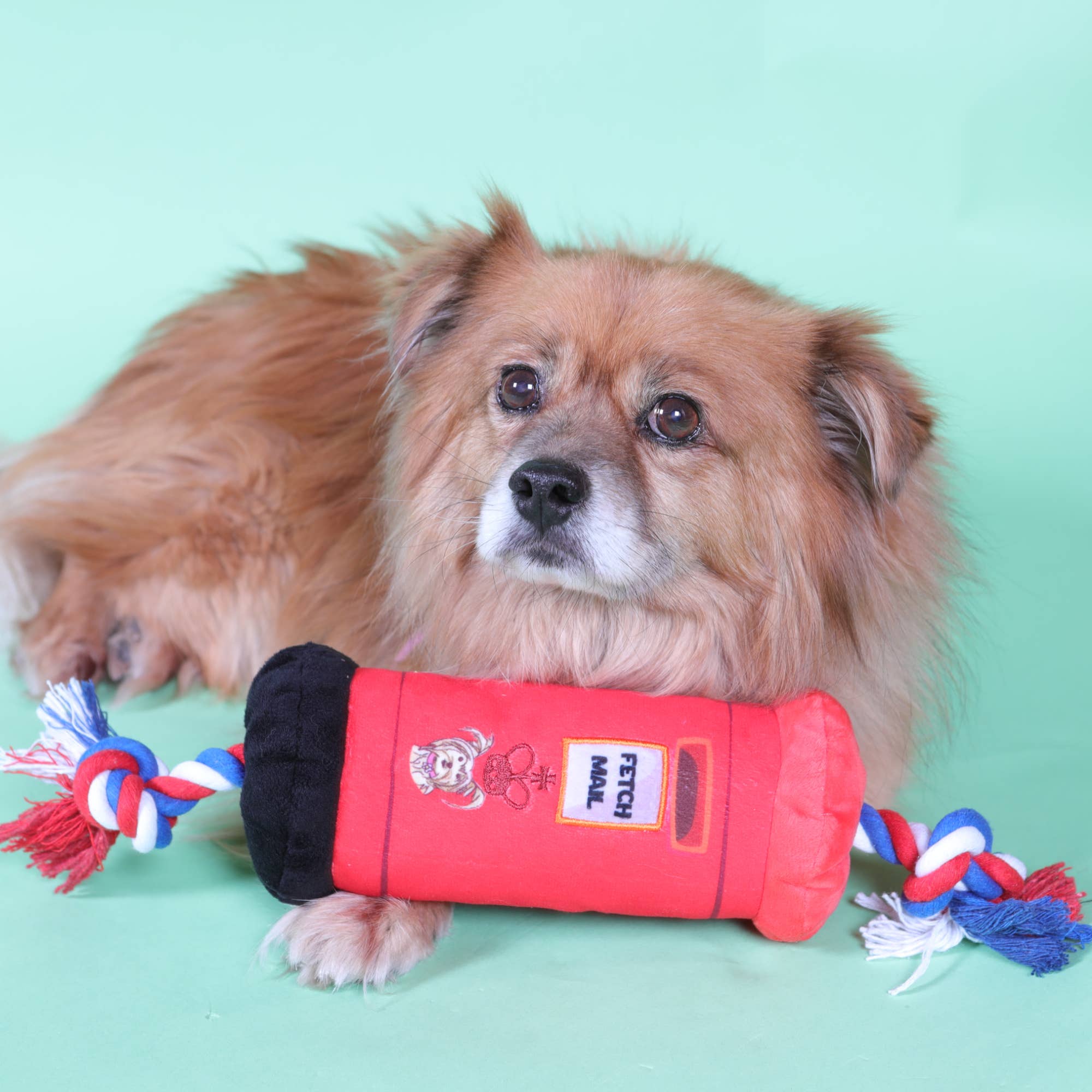 PetLondon – wholesale Pet rope toy – Dog – British Dog Mailbox Tug Toy6