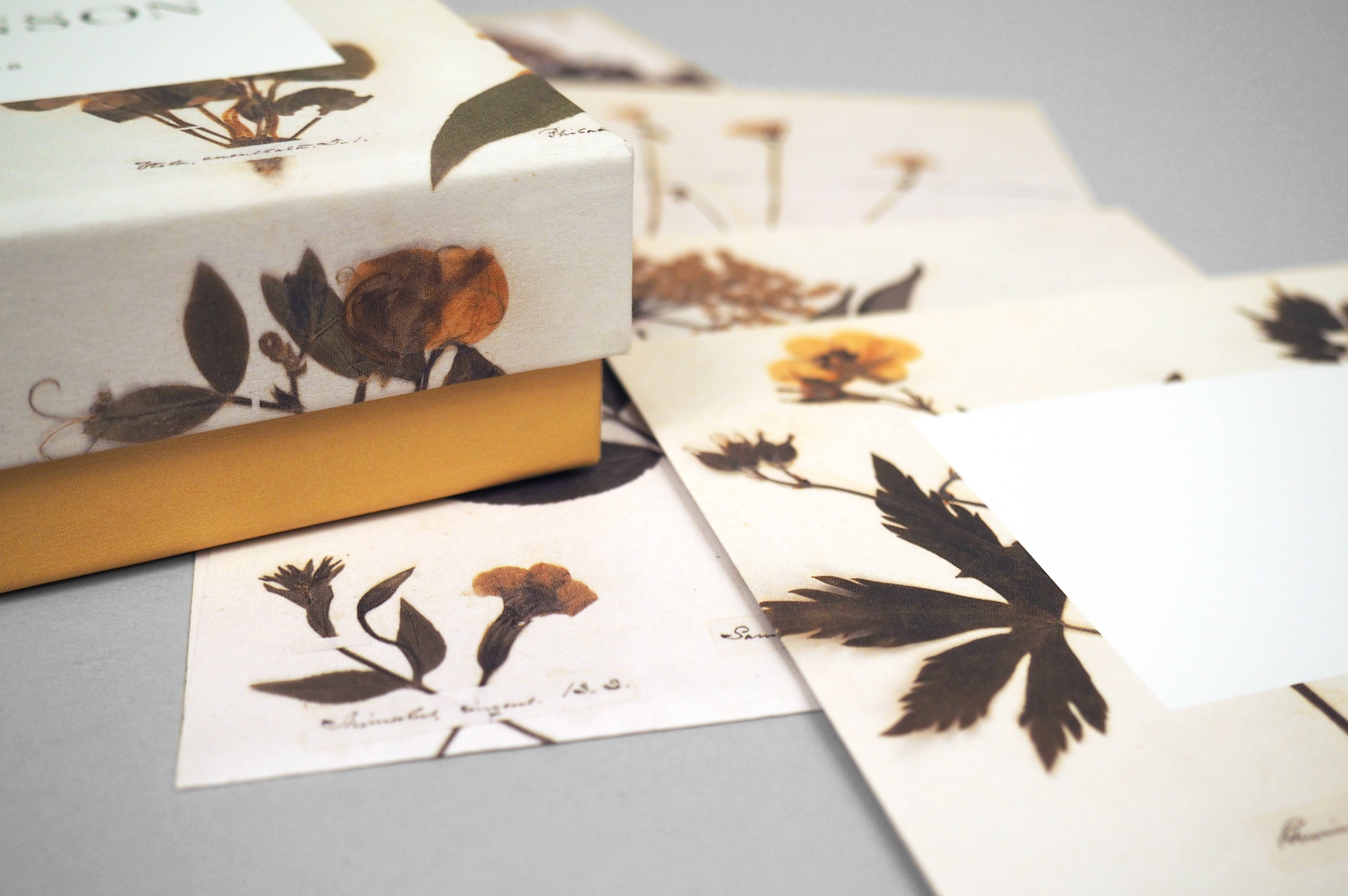 Chronicle Books - Wholesale Stationery/Notecard Set - Emily Dickinson Notecards10