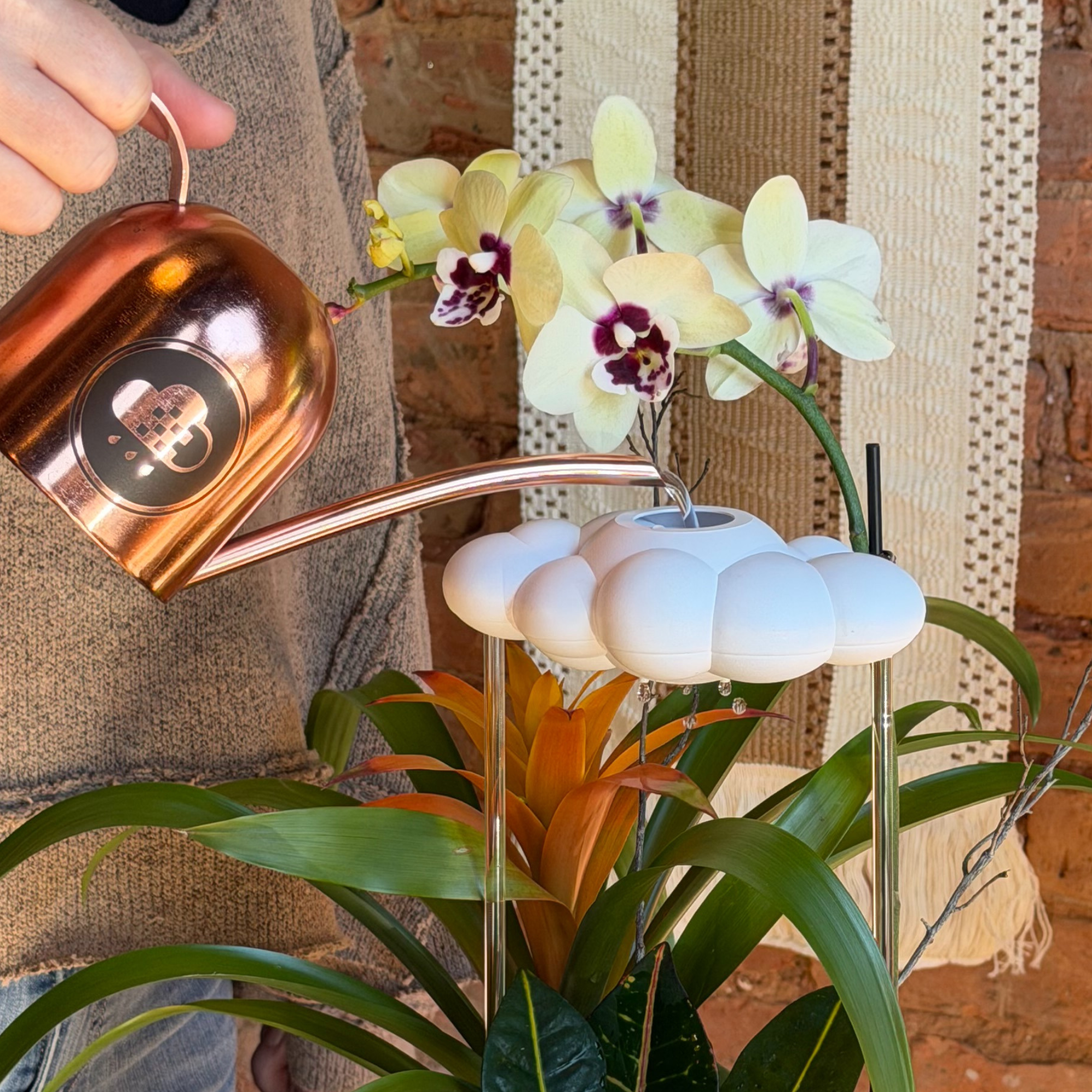 The Cloud Makers - Wholesale Watering Can - Original Dripping Rain Cloud6