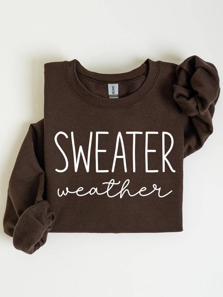 Tröja Vädergrafiska fleecetröjor för wholesale av COLORBEAR