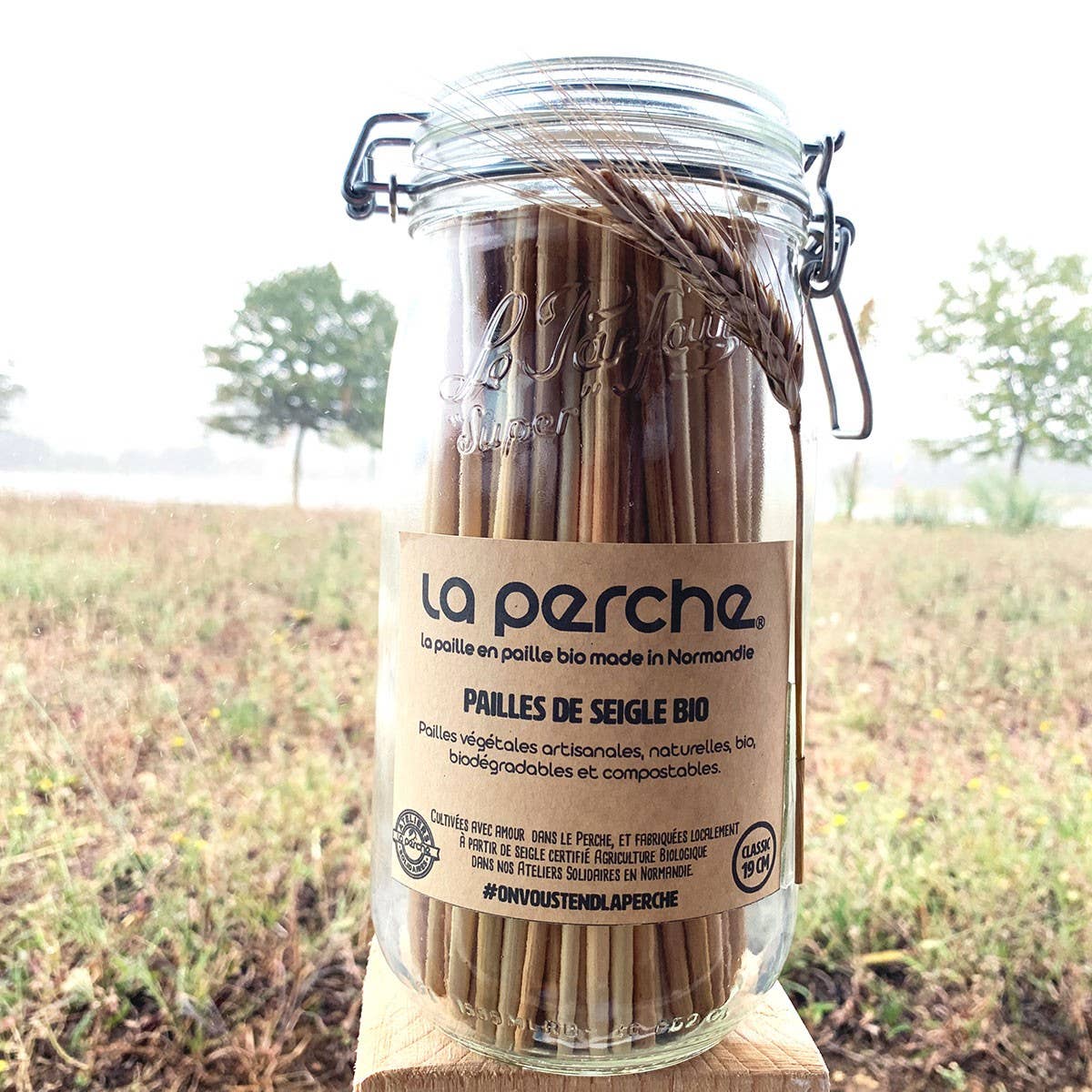 La Perche - Wholesale Drinking Straw - La Perche® jar 150 straws1