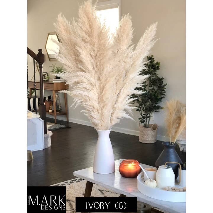 Modern Ark Designs - Wholesale Dried/Pressed Flowers - Fluffy Pampas Grass Stems Extra Large Pampas Grass