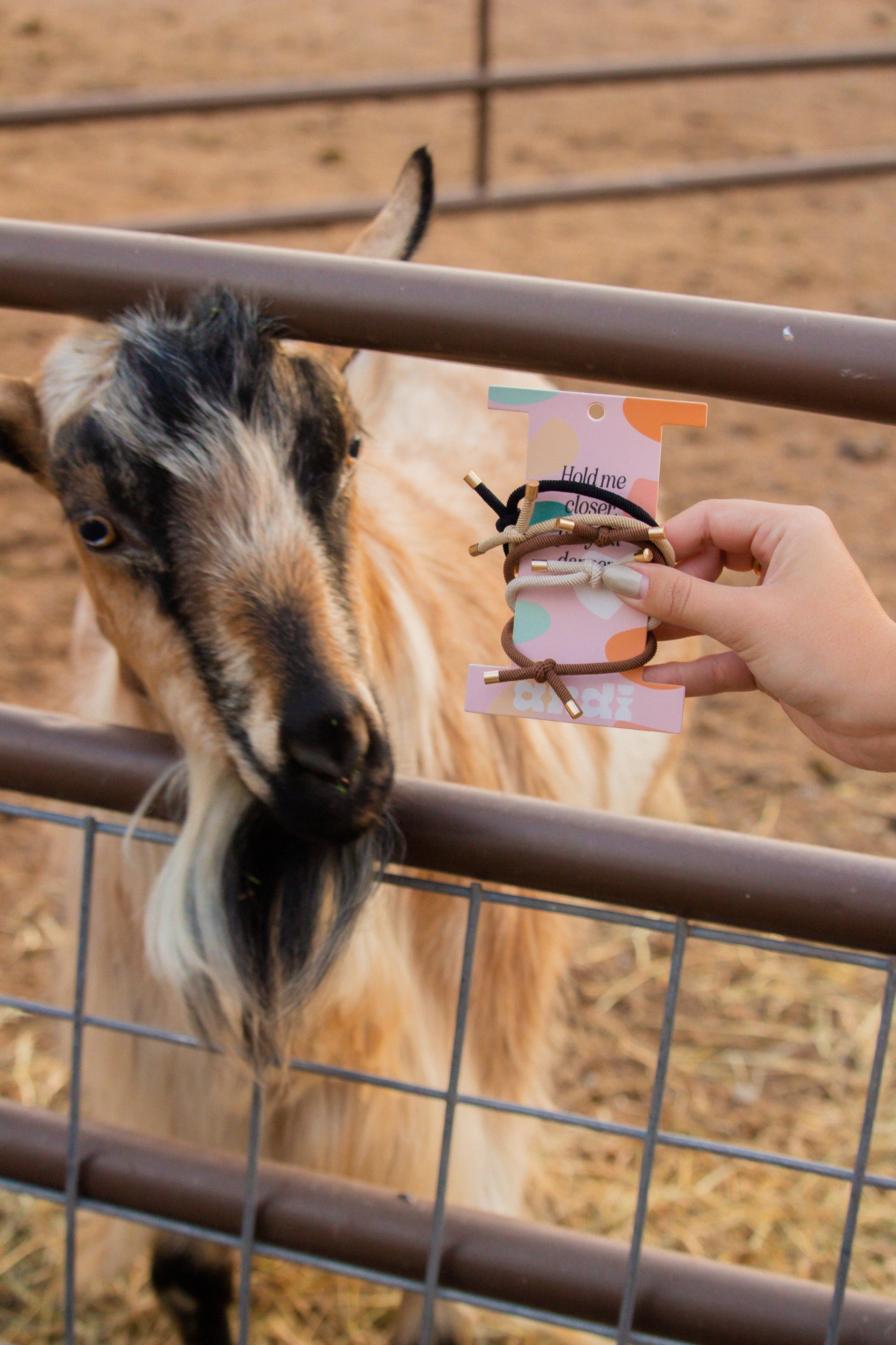 Shop Andi - Vente Élastique à cheveux - Élastiques à cheveux à nouer4