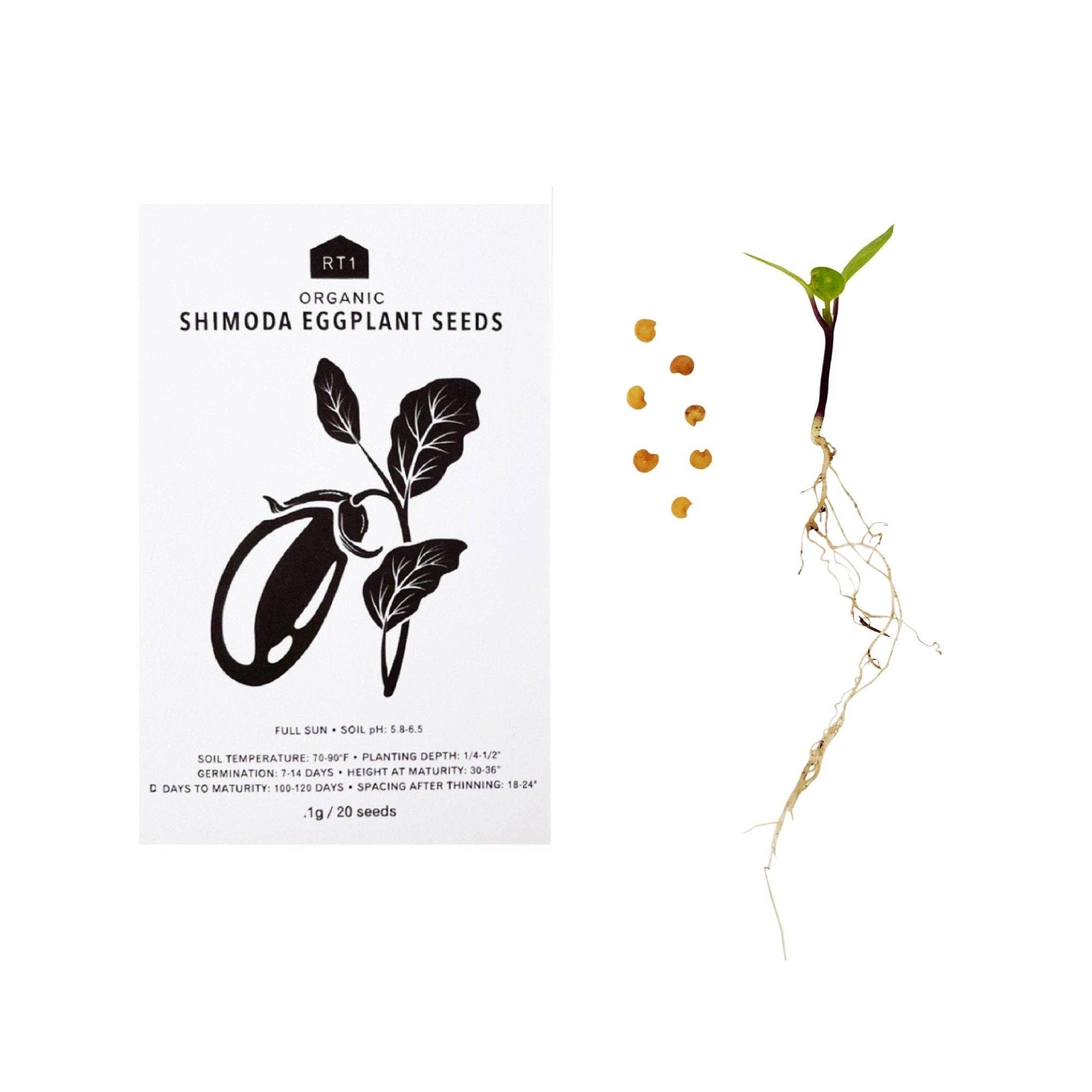 RT1home – wholesale Frön – ÖRTFRÖN - 1 PACK23