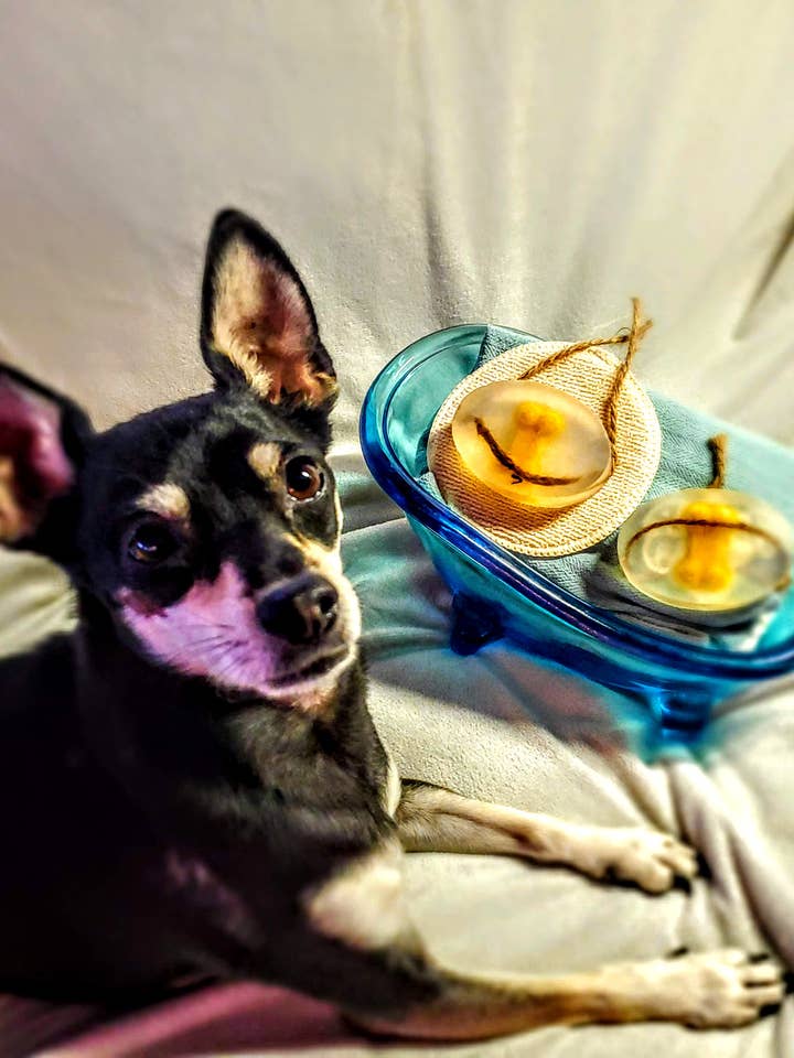 Doggie Bar Shampoo für den Großhandel von HolliCrafted LLC