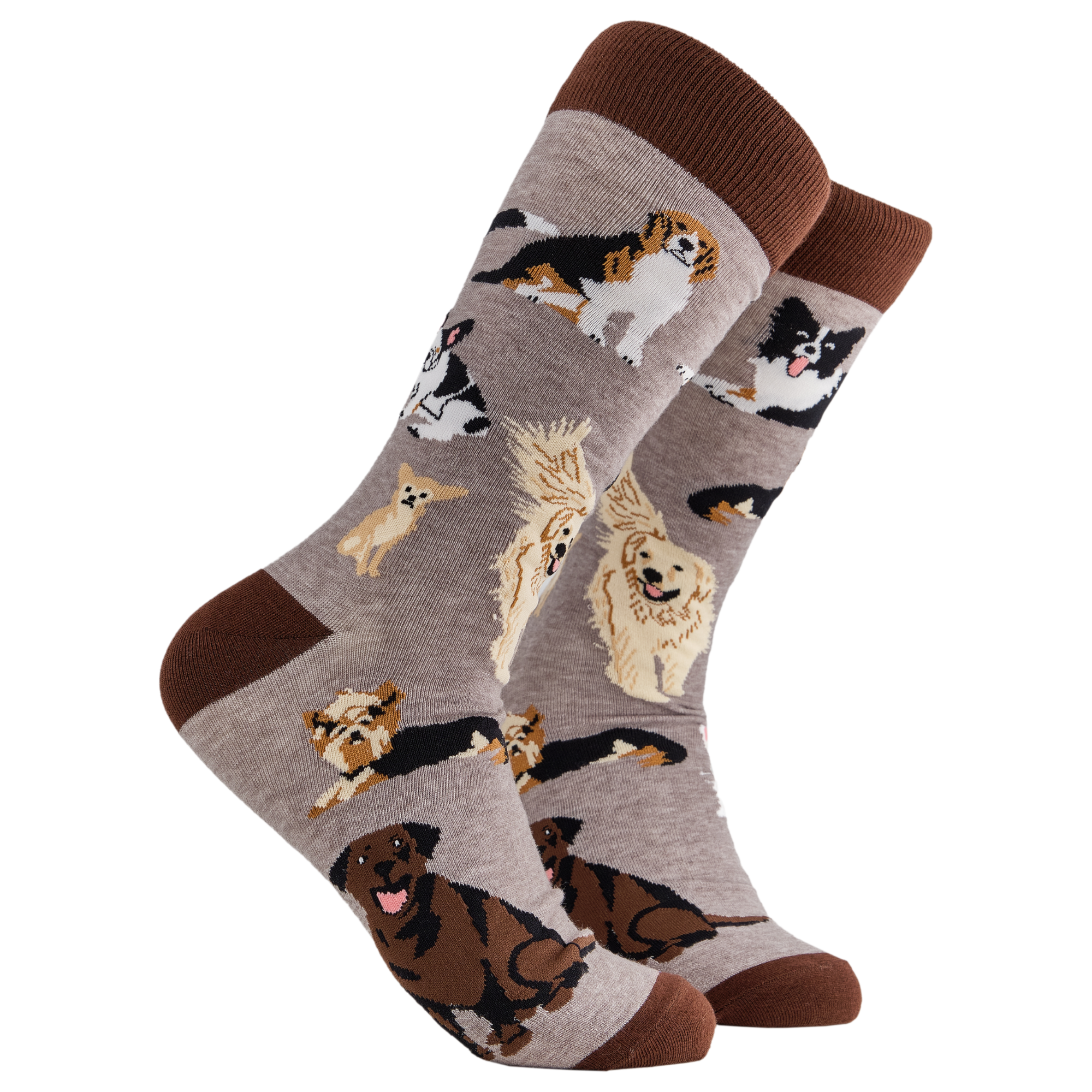 Socktopus - Vendita all'ingrosso Calzini - Unisex - Calzini Dog Lover 23