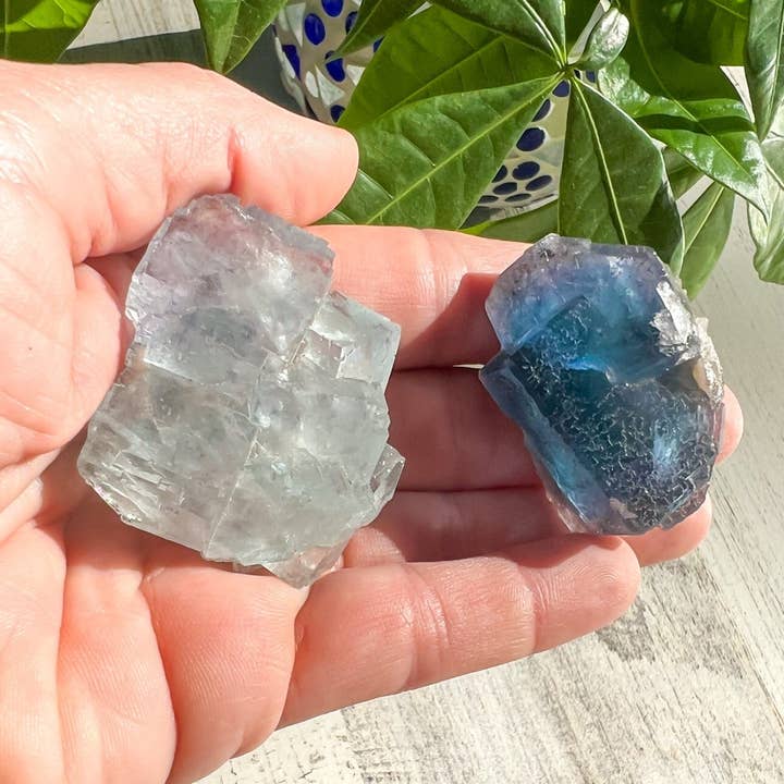 Cluster Fluorite pour la vente par Rock This Out