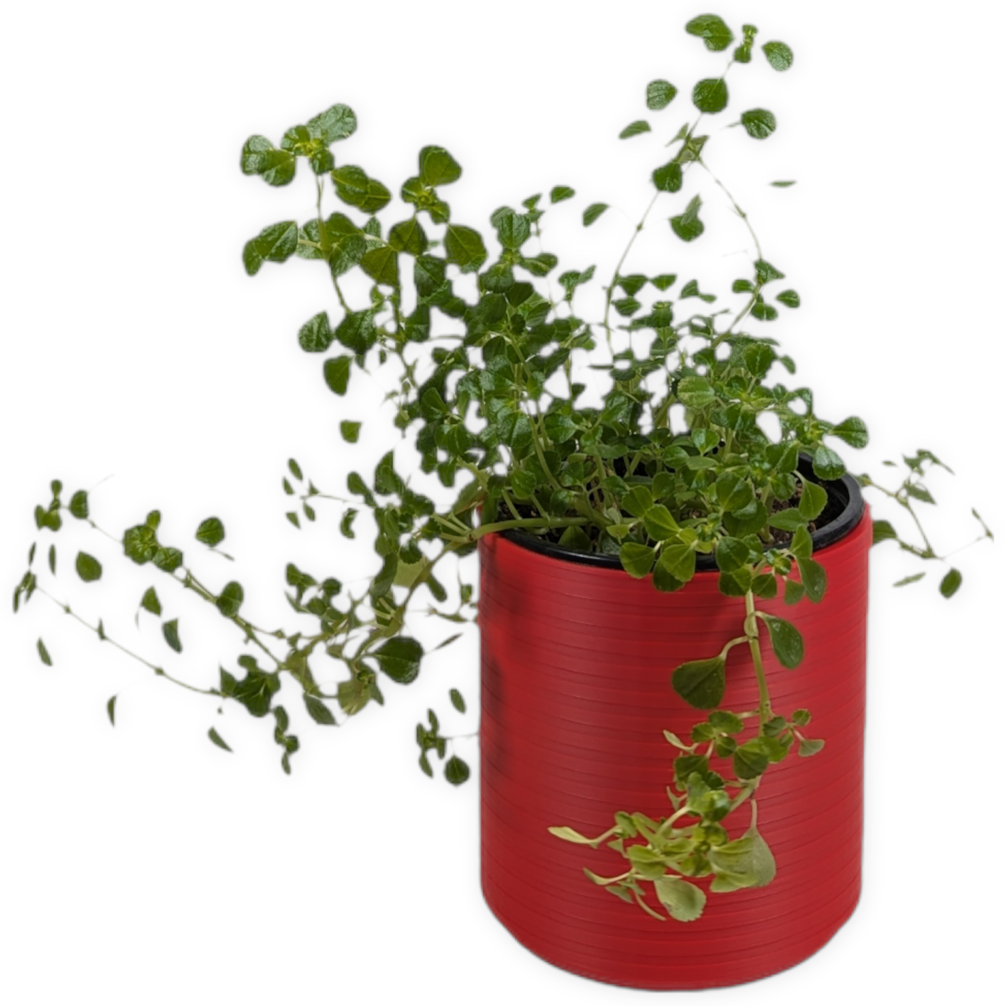 Leafprints.3d - Wholesale Plant Pot - The Talipot- 4 Inch Cover Pot (No Drainage)1