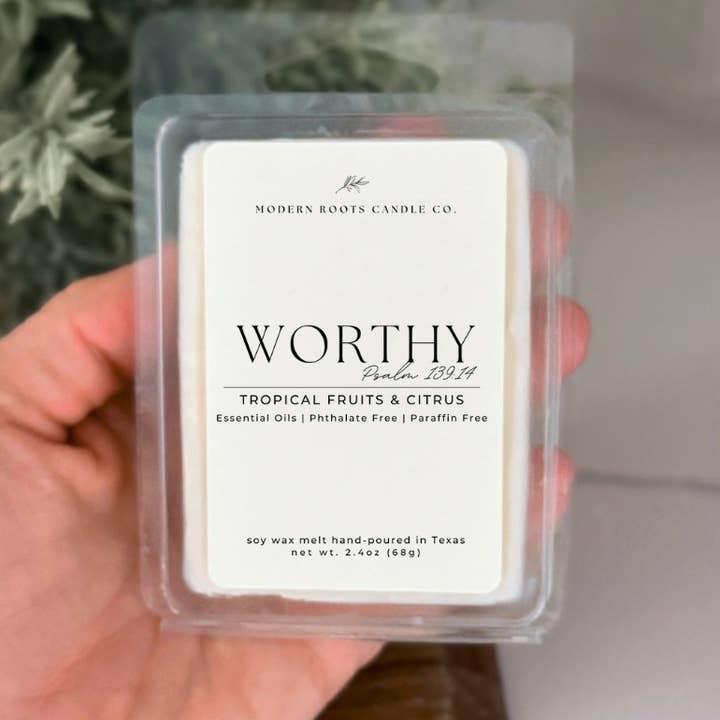 Worthy | Volcanic Island | 2.4 oz. Soy Wax Melt for wholesale by Modern Roots Candle Co.