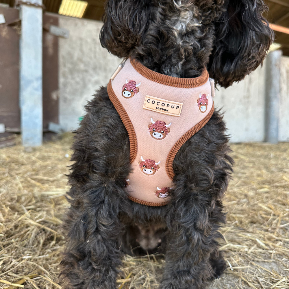 Cocopup London - Wholesale Pet Harness - Dog - Harold the Highland Cow Adjustable Neck HARNESS4