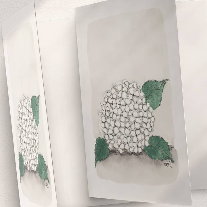 A Vit Hortensia för wholesale av Sari's ArtWork