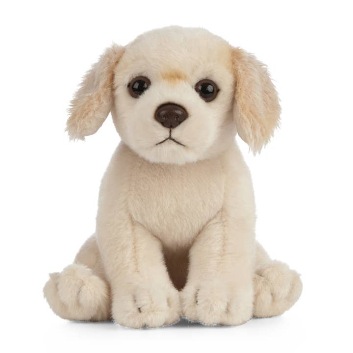 Living Nature Golden Retriever Puppy Plush Stuffed Toy for wholesale by Keycraft