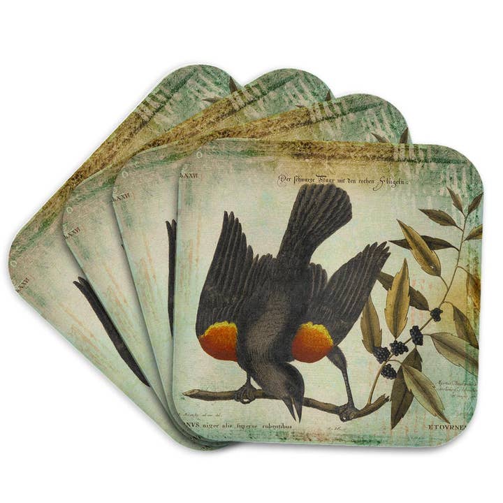 3dRose, Vintage Bird Illustration Black Starling On Branch, Coaster for wholesale by 3dRose