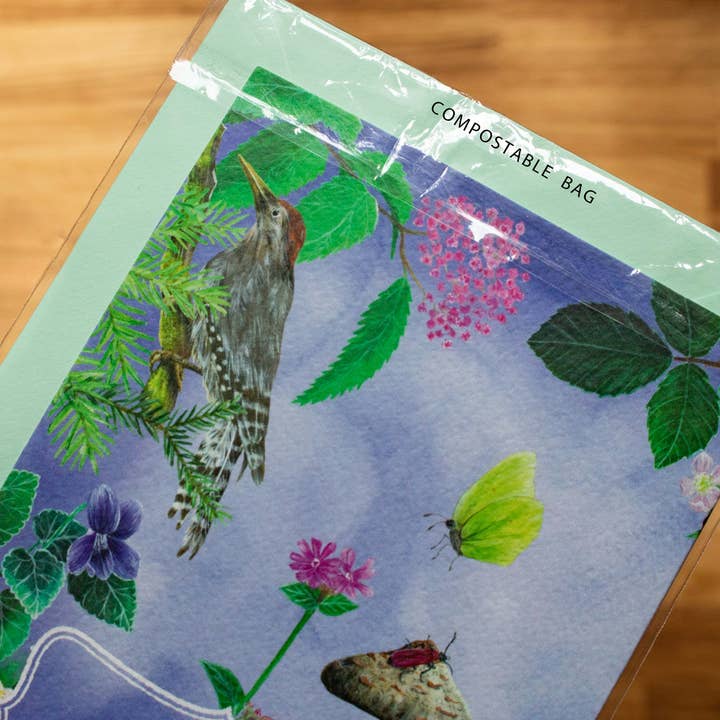 AMPellegrini Art & Design - Wholesale Everyday Greeting Card - Blue Tit card / Bird illustration greeting card3