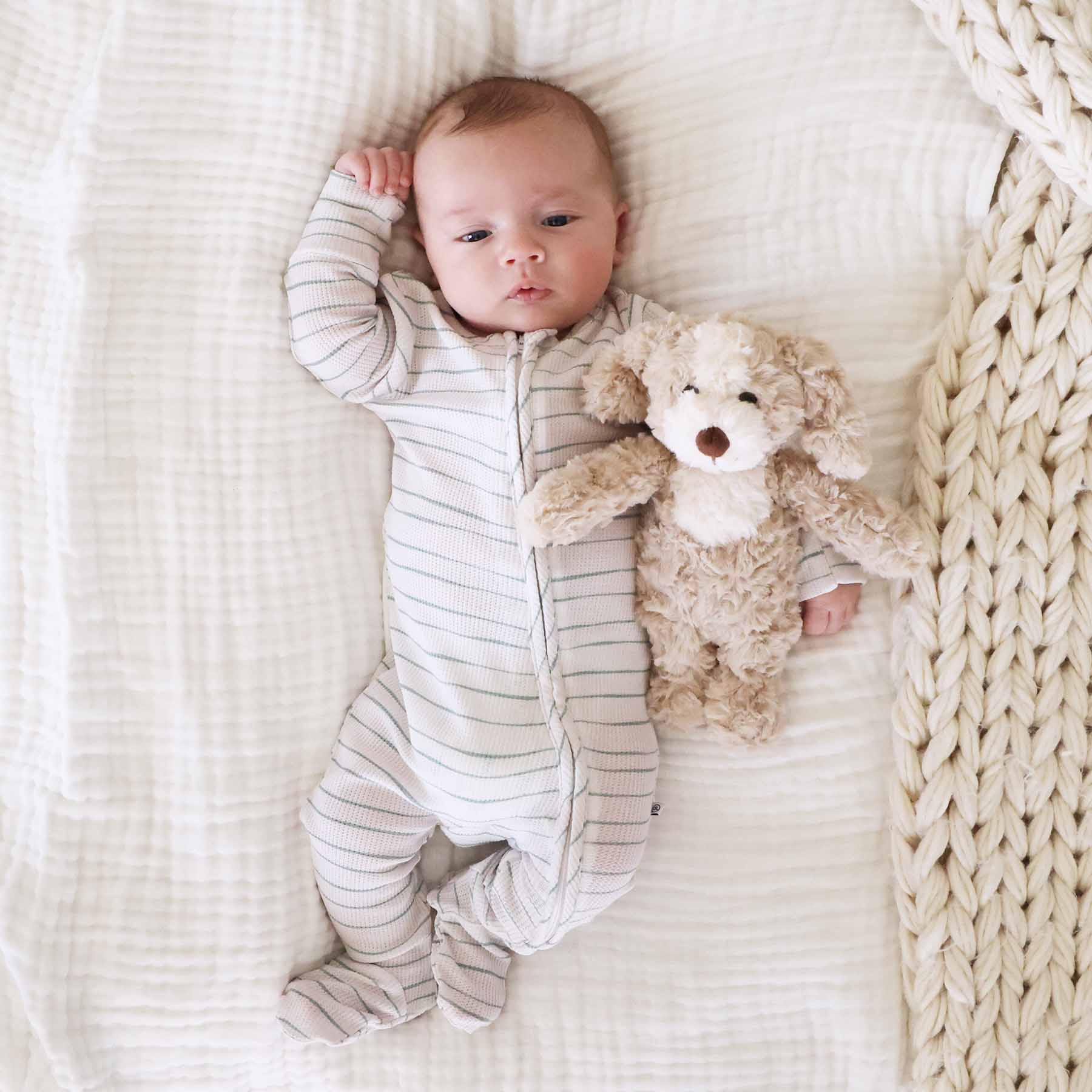 Caden Lane - Wholesale Stuffed/Plush Toy - Kids & Baby - Cuddle Plush Friends | Parker Puppy1