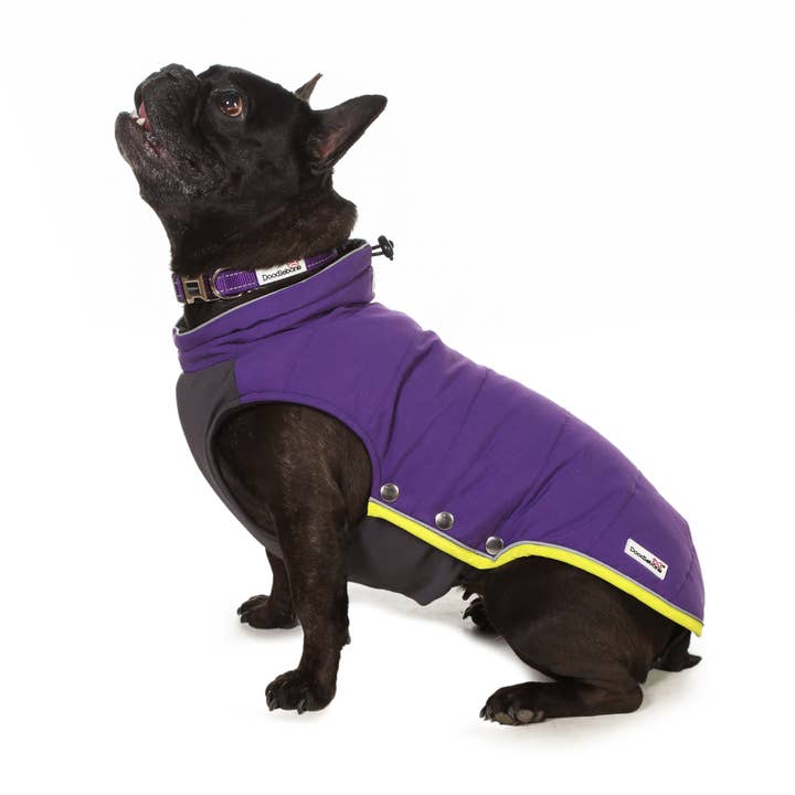 Doodlebone - Wholesale Pet jacket – Dog - Dog Puffer Jackets2