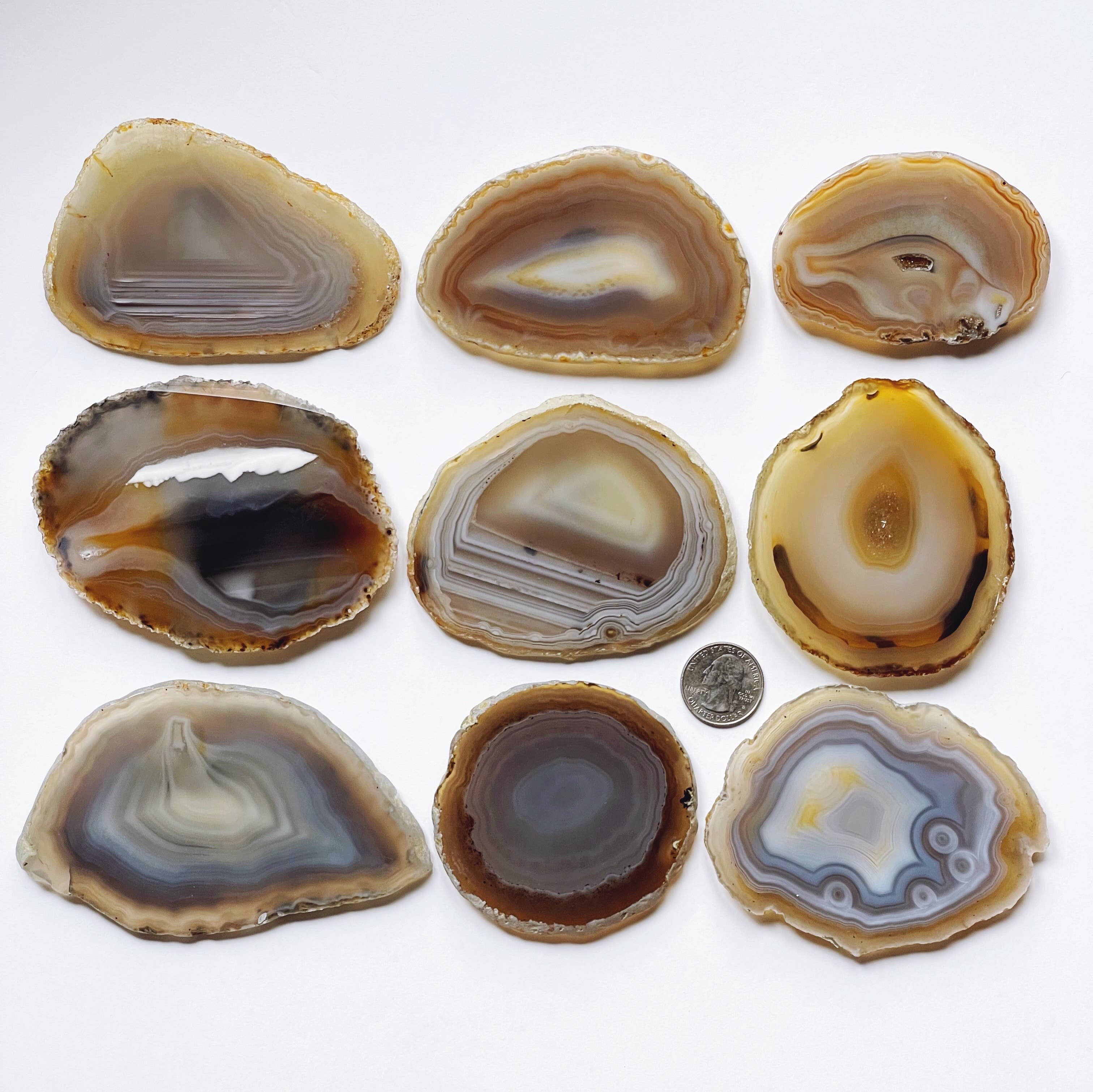 Suspend.It - Wholesale Wall Accent - Large Premium agate decor, crystal decor, screw cover3