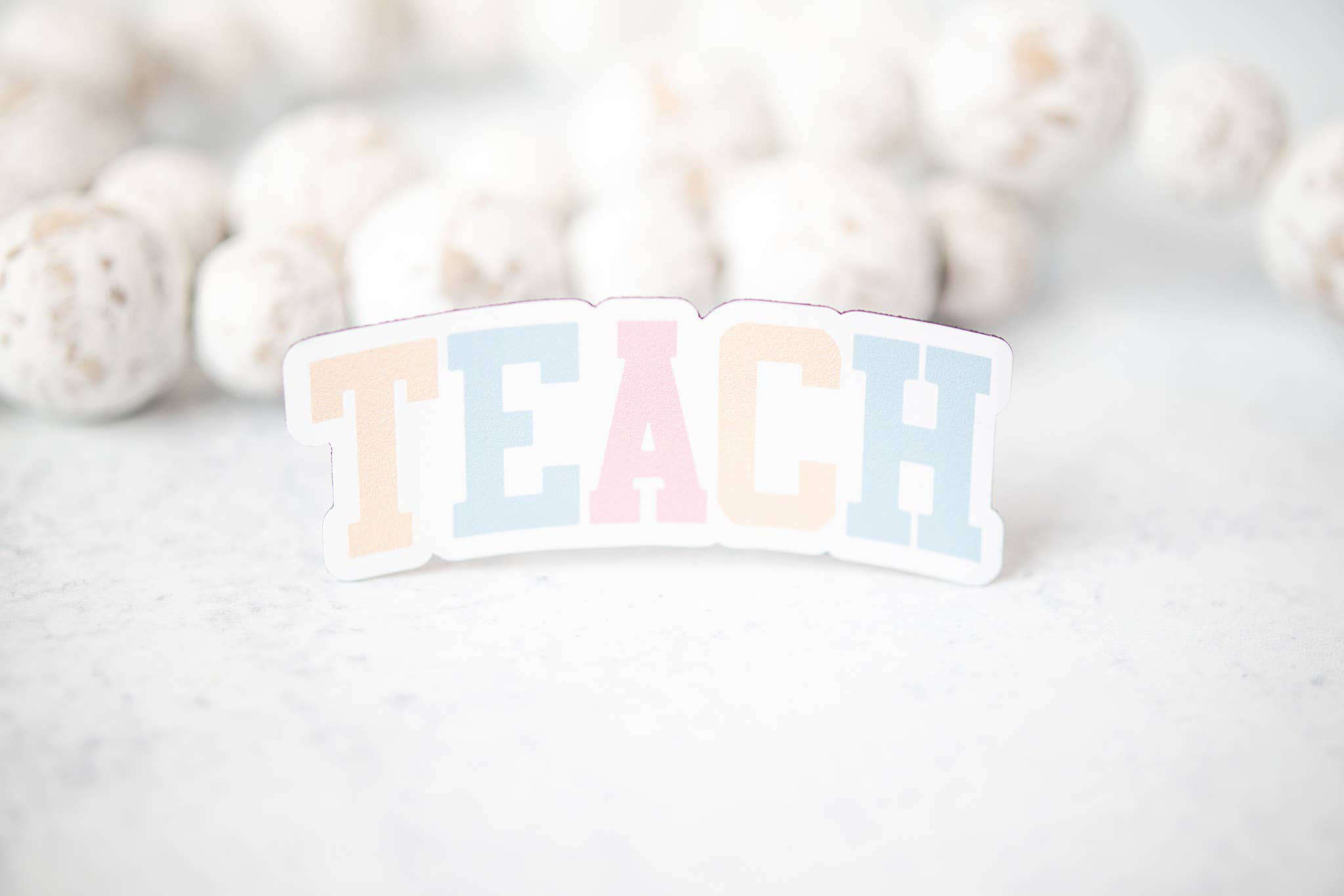 Savannah and James Co - Vendita all'ingrosso Calamite - Insegnare, magnete 3 «x3"