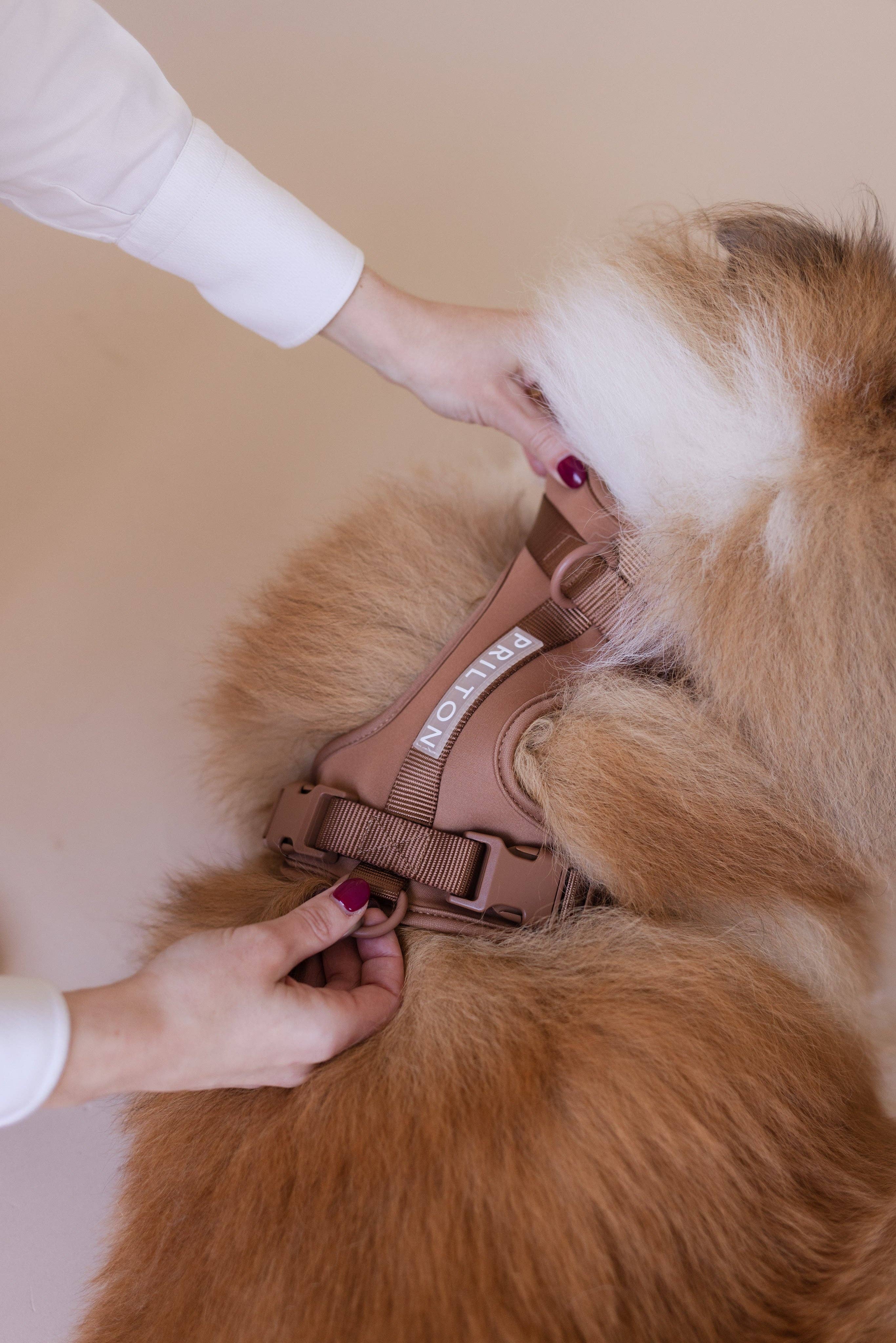 PRILTON - Wholesale Pet Harness - Dog - Harness - Brown1