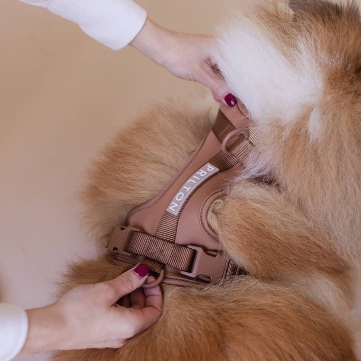 PRILTON - Wholesale Pet Harness - Dog - Harness - Brown1