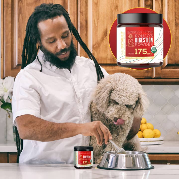 Ziggy Marley Apawthecary - Wholesale Pet supplement – Dog - Romeo's Digestion Superfood Topper1