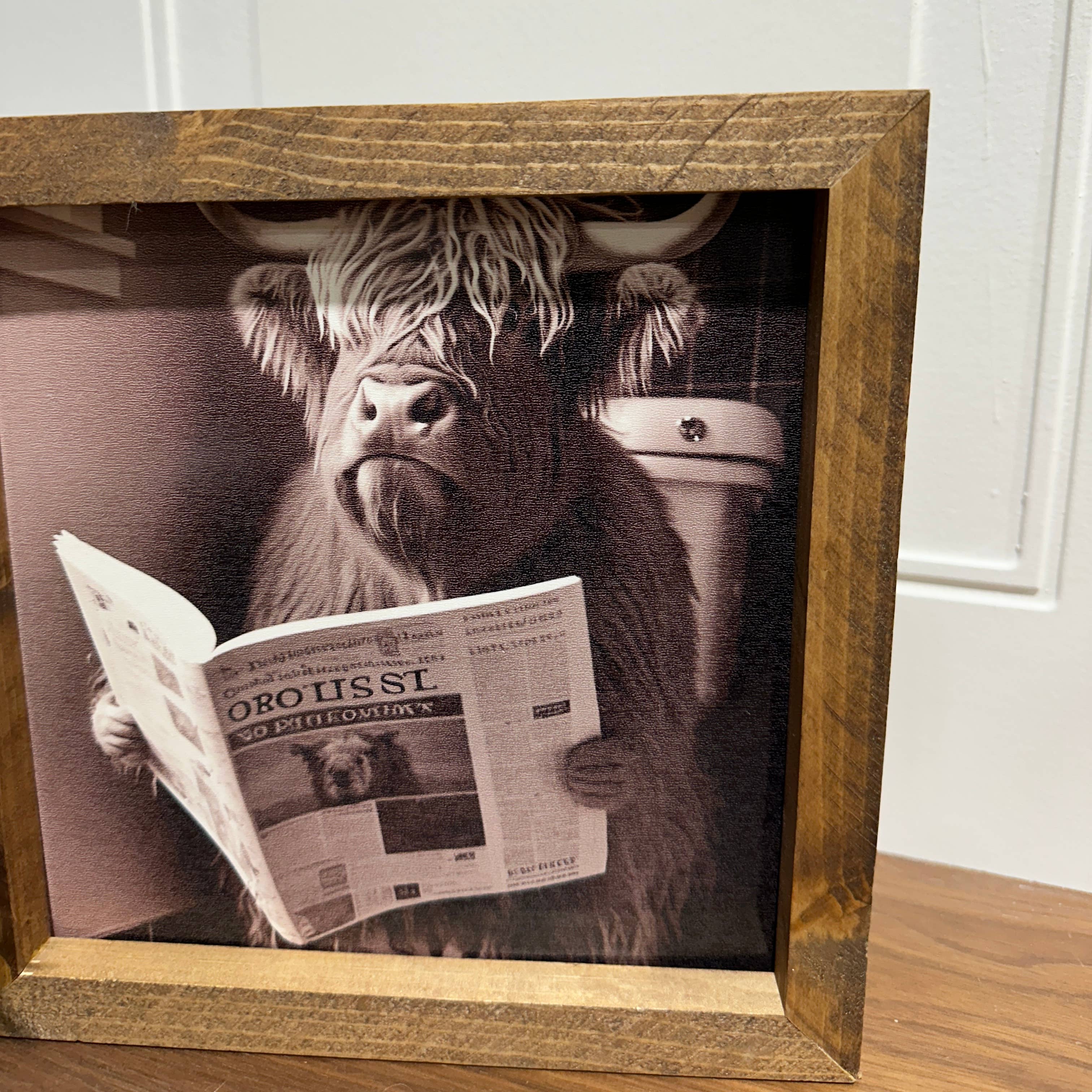 The Broken Board – Großhandel Kunstdruck – Highland-Kuh liest eine Zeitung, Highland-Kuh lustiger Druck4