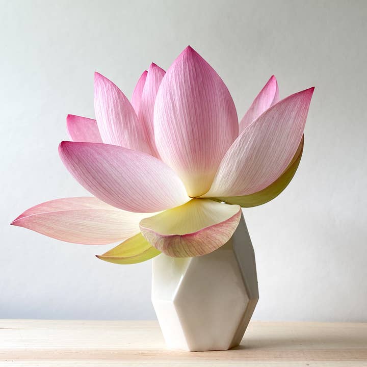 Lille Geo Vase for engroshandel hos Twig + Table