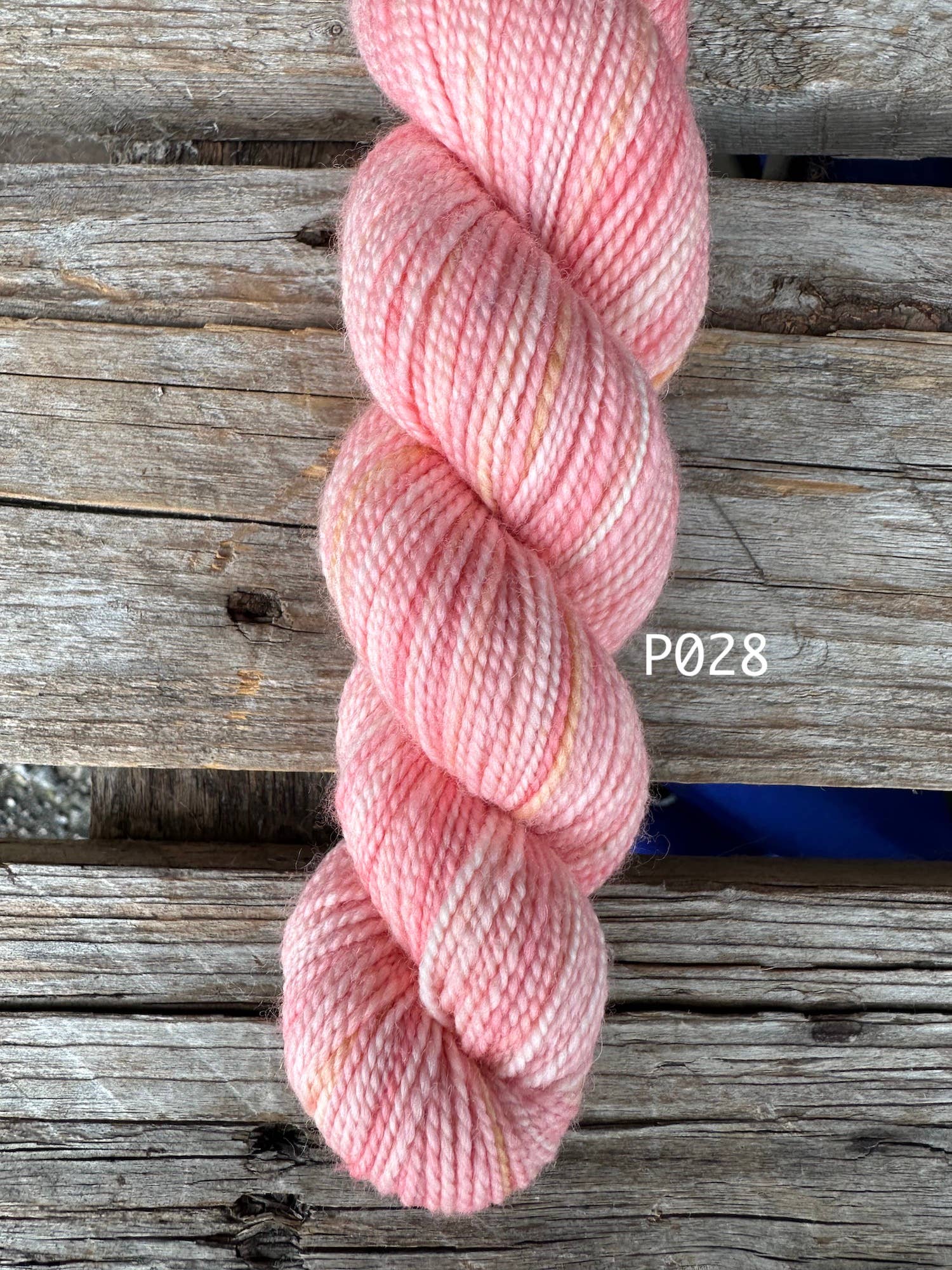 Koigu Wool Designs - Wholesale Yarn - Bridgerton Collection KPPPM 9