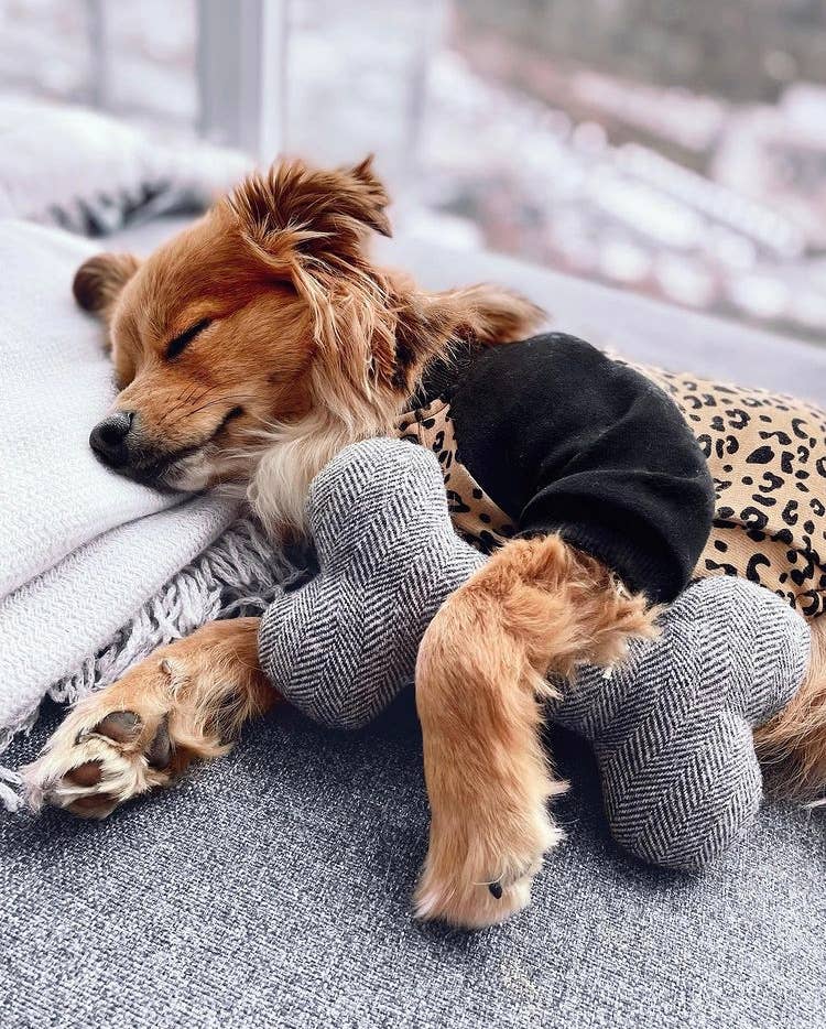 Thread and Paw - Wholesale Pet Plush Toy - Dog - *CUSTOM EMBROIDERY* Tweed Dog Toy6