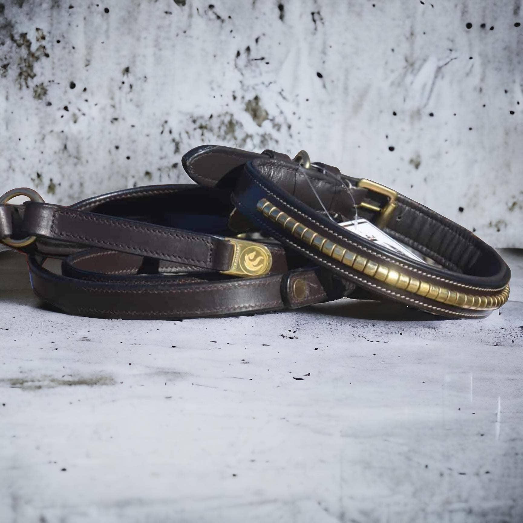 EPONIA EQUESTRIAN LIFESTYLE – coleira - Cão por atacado – Conjunto de coleira e coleira para cães com clincher decorativo1