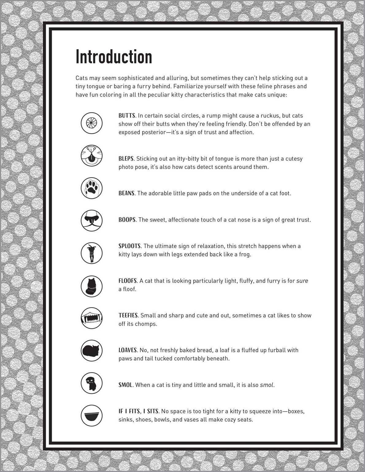 Sourcebooks - Wholesale Coloring & Activity Book - Adult - Butts, Bleps, and Beans Cat Coloring Book1