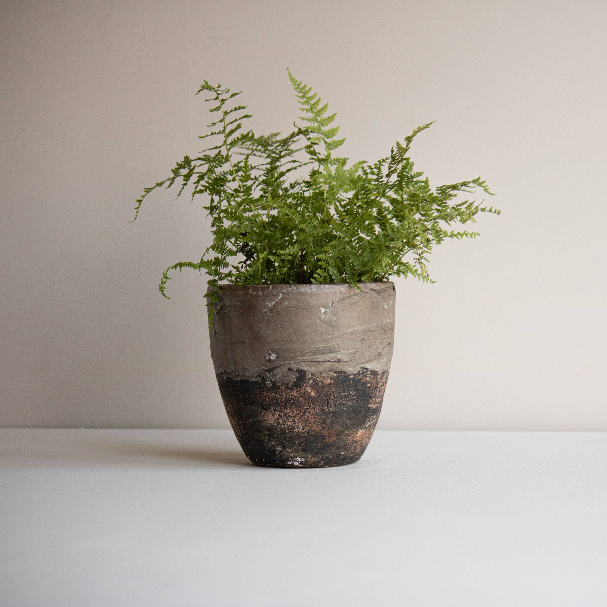 Foreside Home & Garden - Wholesale Plant Pot - SALE - Gita Small Gray Terracotta Garden Planter Pot6