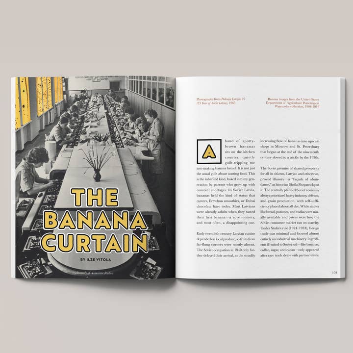 Eaten Magazine - Wholesale Magazine - No. 24: Snacks5