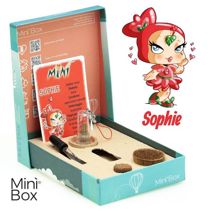 Minì Box Fun Sophie - Mini plant for the whimsical and other Purchase Wholesale acqua ecologico. Free Returns & Net 60 Terms on Faire trending on Faire.