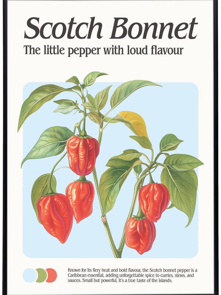 Scotch Bonnet Print for wholesale by Hood Greetings