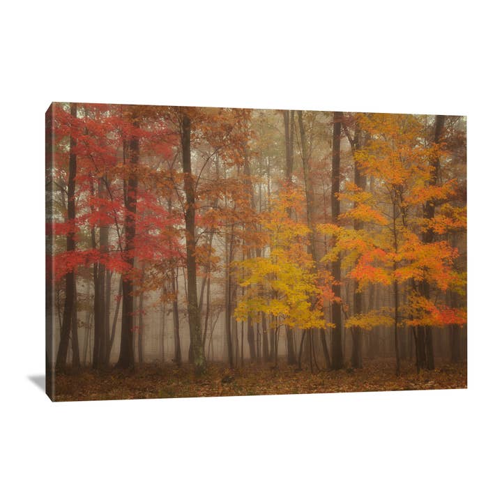 Foggy Fall Morning Nature Canvas Wrap for wholesale by Nature's Vista Photography